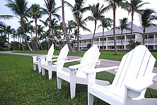 经典,白色,宽木躺椅,优雅,海洋,乐园,岛屿,巴哈马