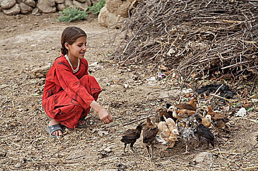 阿富汗,女孩,鸡,乡村,近郊,城市,赫拉特,六月,2007年