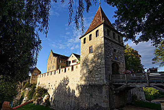 城堡,劳芬,瑞士