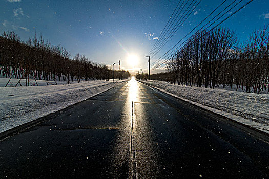 笔直,道路,太阳