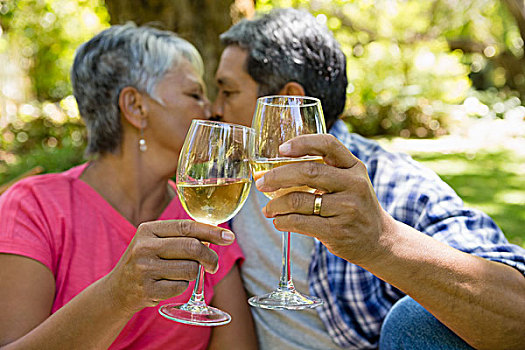 老年,夫妻,吻,喝,葡萄酒,公园