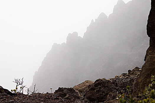 场景,毛伊岛,雾,云,顶峰