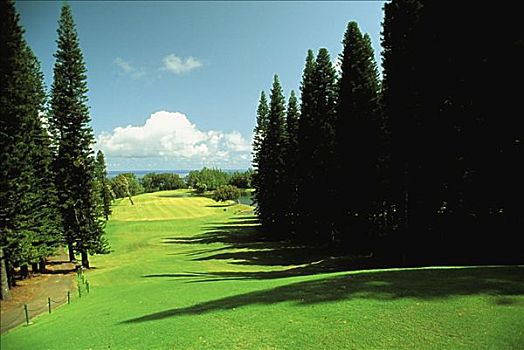 夏威夷,毛伊岛,卡帕鲁亚湾,高尔夫球杆,乡村,场地
