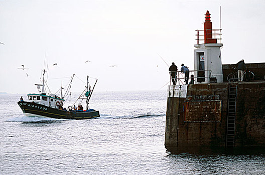 渔船,航行,基伯龙,港口,旁侧,灯塔,布列塔尼半岛,法国