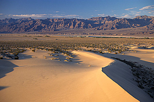 沙漠,沙丘,莫哈维国家自然保护区,加利福尼亚,美国