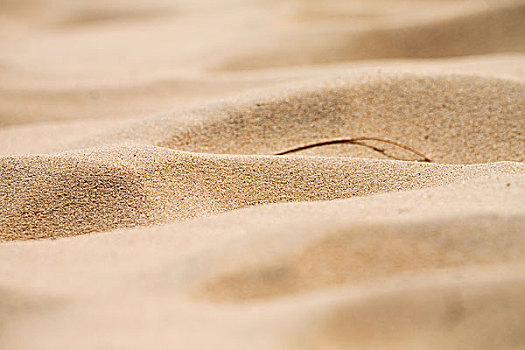 模糊,南非,特写,海岸线,海滩,抽象,沙子,纹理,背景