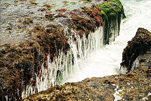 俯拍,水,飘动,上方,岩石构造,礁石,圣地亚哥湾,加利福尼亚,美国