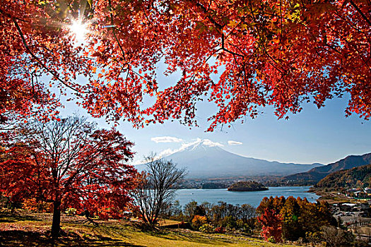 富士山,秋天,日本,亚洲
