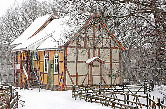 历史,半木结构,犹太会堂,重,雪,冬天,黑森公园,陶奴斯,黑森州,德国,欧洲