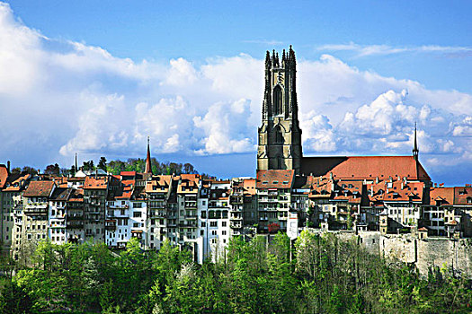 瑞士,弗里堡,河,风景,老城,大教堂