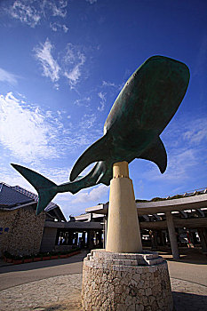 巨大,鲸鲨,雕塑,入口,水族箱,冲绳,日本