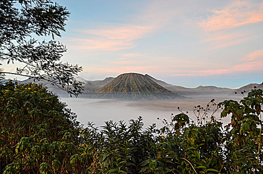 火山,婆罗莫,国家公园,东方,爪哇,印度尼西亚