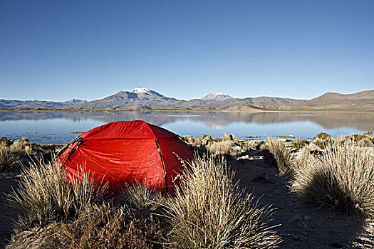 玻利维亚,泻湖,帐蓬
