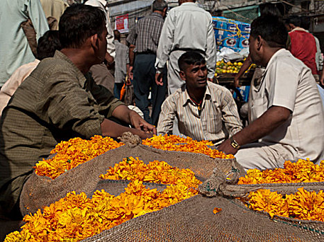洽谈,价格,仪式,花,批发,市场,老,德里,印度,亚洲