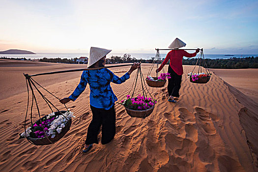 越南,美尼,沙丘,女人,锥形,帽子