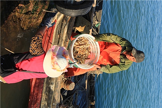 山东省日照市,秋天的渔码头熙熙攘攘,各类海鲜大量上市吸引众多吃货
