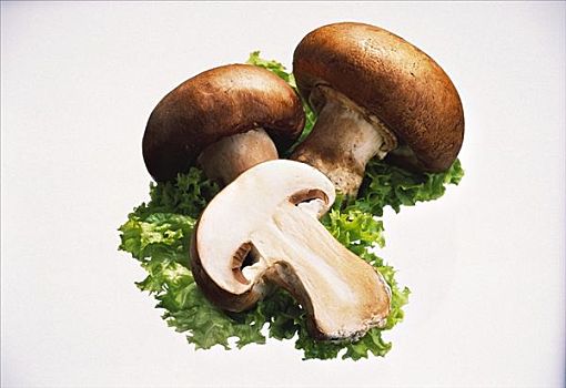 褐蘑菇,平分