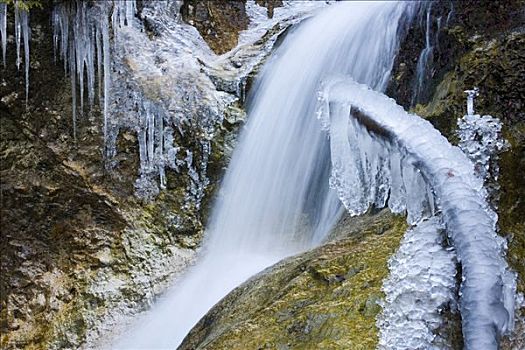 冬天,溪流,峡谷,国家公园,斯洛伐克,欧洲
