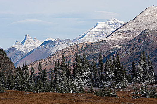 冰川国家公园,秋天,高山,雪