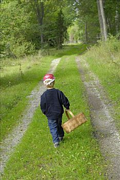 男孩,走,树林,蘑菇,瑞典