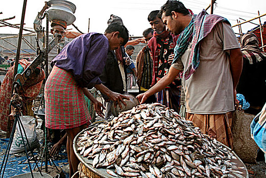 批发,市场,鱼,达卡,孟加拉,2007年