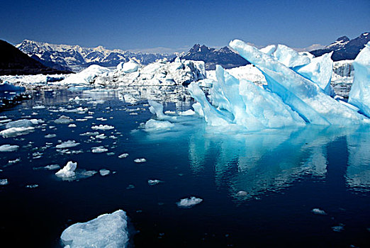 阿拉斯加,威廉王子湾,冰山,漂浮
