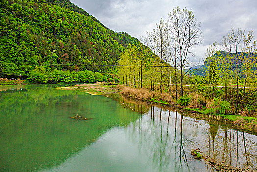 浙江,台州,天台县,龙溪乡,乡村,湿地,山水,小溪,绿色,树木