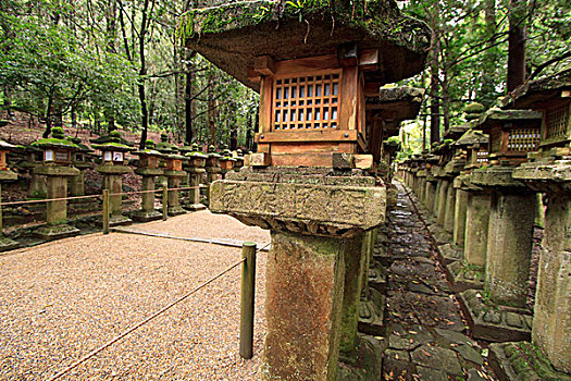 神祠,奈良,日本,著名,大,数字,装饰,石头,灯笼