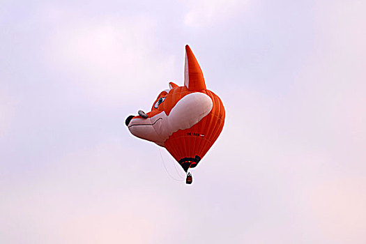 气球,形状,狐狸,头部,节日,生锈,巴登符腾堡,德国,欧洲