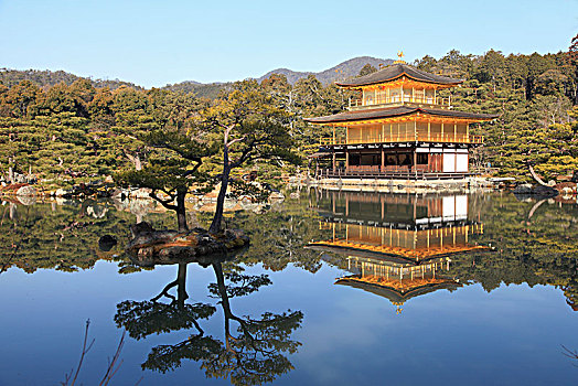 日本,京都,金阁寺,庙宇,金亭