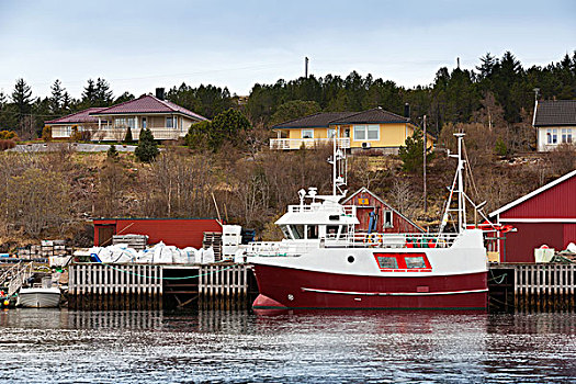 小,红色,白色,渔船,站立,停泊,挪威,沿岸城镇