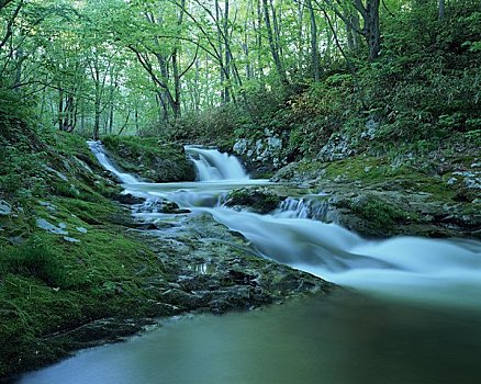 山川,小,瀑布