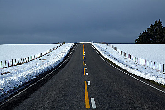公路,冬天,道路,奥塔哥,南岛,新西兰