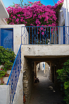 通道,上方,小路,楼梯,叶子花属,花,山村,希腊