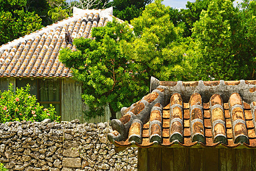 岛屿,冲绳,日本