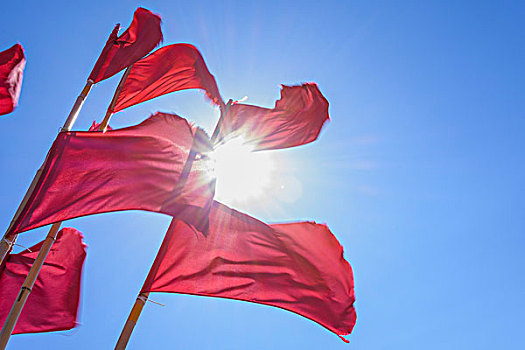 红色,标记,旗帜,渔网,太阳,西兰岛,丹麦