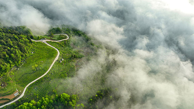 重庆酉阳,雨后日出雾海美乡村