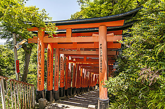 漂亮,独特,红色,木质,大门,花园,伏见,稻成,神祠,京都,日本