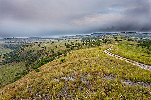 风景,伊丽莎白女王国家公园,乌干达,云,野火,变暗,非洲