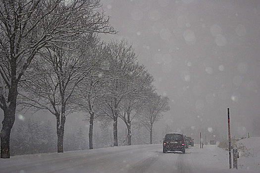 驾驶员,乡间小路,下雪