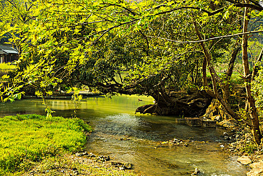 小河