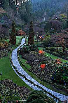 花园,宝翠花园,圣诞时节,靠近,维多利亚,不列颠哥伦比亚省