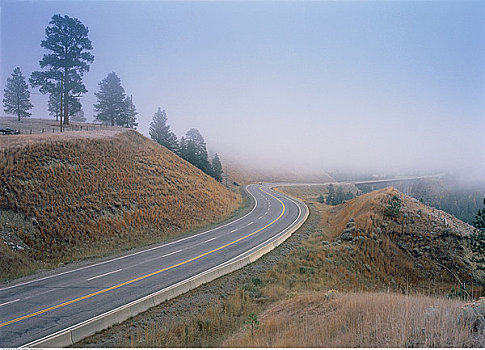 道路,雾,东方,不列颠哥伦比亚省,加拿大