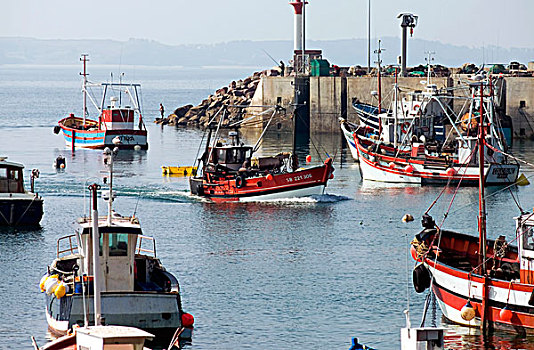 扇贝,拖船,船,钓鱼,港口,布列塔尼半岛,法国