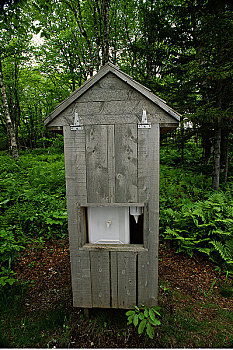 冷水机,木头,新布兰斯维克,加拿大