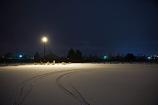轮胎,雪,郊区,道路,街道,灯,夜晚,卡森城,内华达,美国