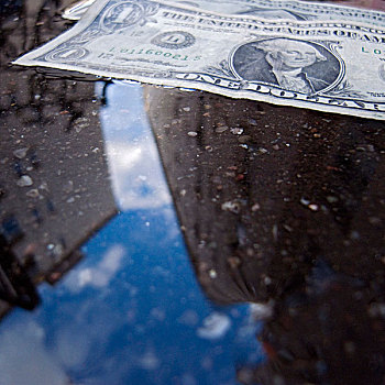 美元,钞票,卧,道路,雨