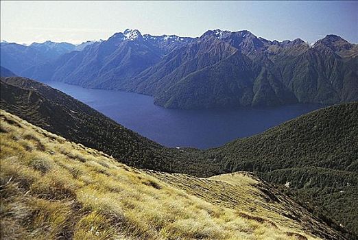 湖,南岛,新西兰
