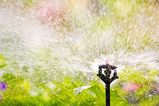 花园,灌溉,自动,浇水