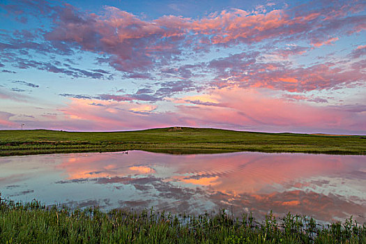 草原,水塘,日出,云,靠近,蒙大拿,美国